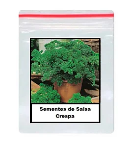 Sementes de Salsa Crespa 80 unidades