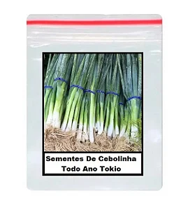 Sementes De Cebolinha Todo Ano Tokio 80 unidades