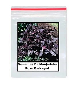 Sementes De Manjericão Roxo Dark opal 70 unidades