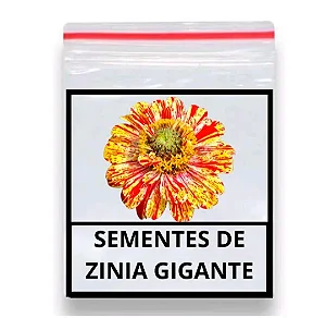 Sementes De Zínia Flor de Dália Vermelhas 50 unidades