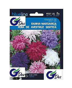 Sementes De Rainha Margarida Pena de avestruz Sortida 50 unidades