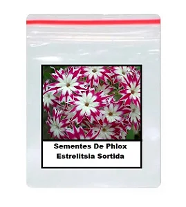 Sementes De Phlox Estrelitsia Sortida 50 unidades