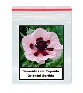 Sementes de Papoula Oriental Sortida 50 unidades
