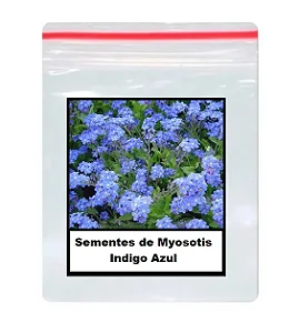 Sementes de Myosotis Indigo Azul 50 unidades
