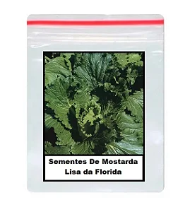 Sementes De Mostarda Lisa da Florida 50 unidades
