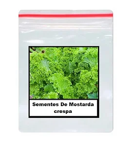 Sementes De Mostarda crespa 50 unidades