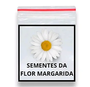 Sementes de Margarida Branca Etoile D’Anvers 50 unidades