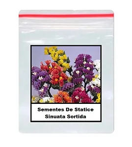 Sementes De Statice Sinuata Sortida 50 unidades