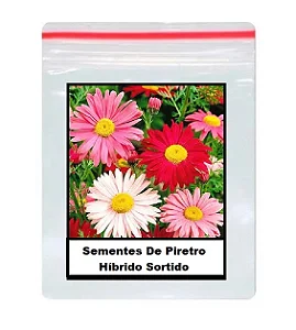 Sementes De Piretro Híbrido Sortido 50 unidades