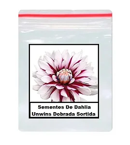 Sementes De Dahlia Unwins Dobrada Sortida 50 unidades