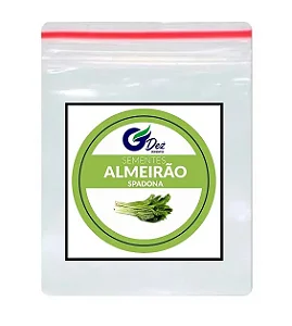 Sementes De Almeirão Spadona folha Fina 300 unidades