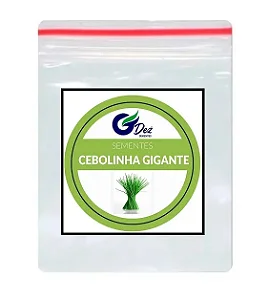 Sementes De Cebolinha Gigante 30 unidades