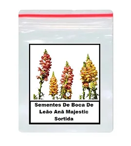 Sementes De Boca De Leão Anã Majestic Sortida 30 unidades