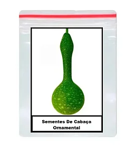 Sementes De Cabaça Ornamental 25 unidades