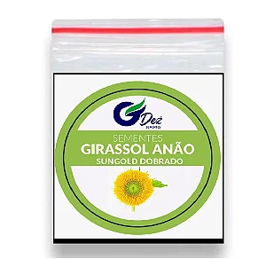 Sementes Girassol Anão Sungold Dobrado 20 unidades
