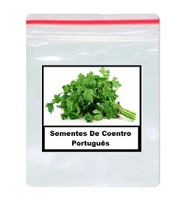 Sementes De Coentro Português 160 unidades