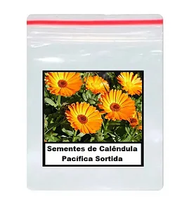 Sementes de Calêndula Medicinal Nova 150 unidades