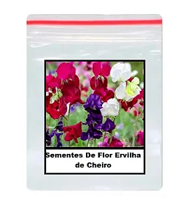 Sementes De Flor Ervilha de Cheiro 12 unidades