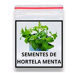 Hortelã Mentha x piperita 1000 Sementes