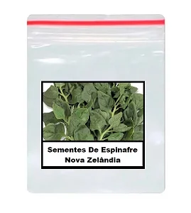 Sementes De Espinafre Nova Zelândia 100 unidades