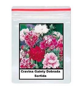 Sementes de Cravina Gaiety Dobrada Sortida 100 unidades