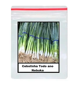 Sementes De Cebolinha Todo ano Nebuka 100 unidades