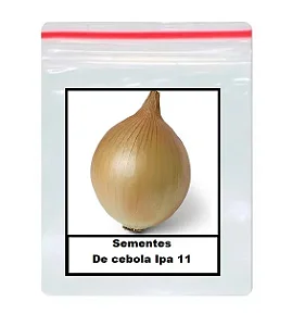 Sementes De cebola Ipa 11 100 unidades