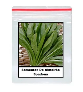 Sementes De Almeirão Spadona 100 unidades