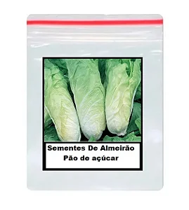 Sementes De Almeirão Pão de açúcar 100 unidades