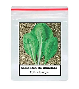 Sementes De Almeirão Folha Larga 100 unidades