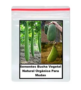 Sementes de Bucha Vegetal Natural Orgânica Para Mudas 100 unidades