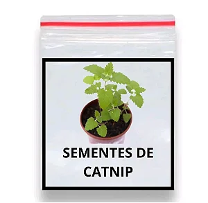 Sementes De Erva Dos Gatos Catnip 300 unidades