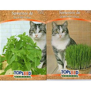 Sementes De Grama E Erva Dos Gatos 500 unidades