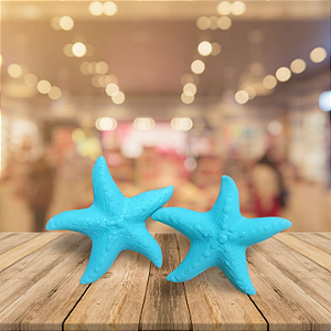 Brinco estrela do mar