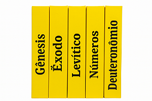 Coleção Bíblica 3D - Pentateuco