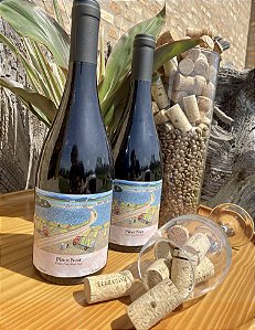 Vinho Pinot Noir Vinhos do Museu