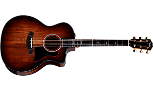 Taylor 224ce K-DLX