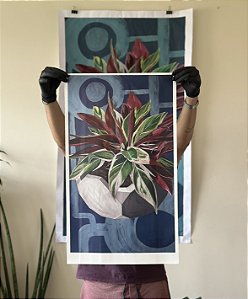 MARANTA TRICOLOR