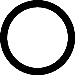 ANEL O'RING 19,0MM X 2,3MM