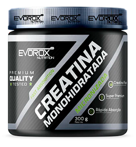 CREATINA MONOHIDRATADA MICRONIZADA POTE 300G - EVOROX NUTRITION