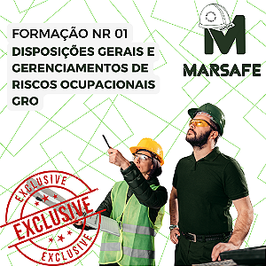 NR 01: Disposições Gerais e Gerenciamento de Riscos Ocupacionais (GRO) 8H