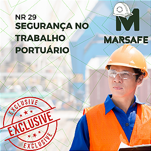 NR 29 - SEGURANÇA E SAÚDE NO TRABALHO PORTUÁRIO 8H