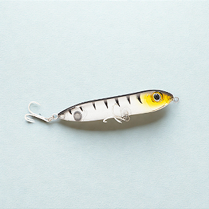 Isca Fractal 102 - Superfície - 05