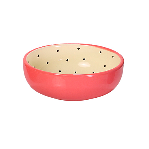 Bowl Pitaya - 380 ml