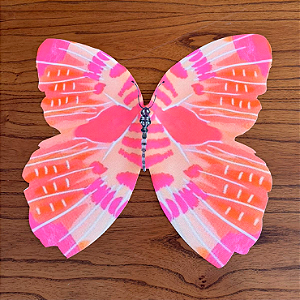 Jogo Americano Borboleta Colors