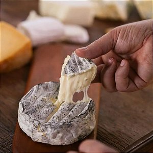 Queijo Lua Cheia - Queijo Artesanal de Alta Qualidade