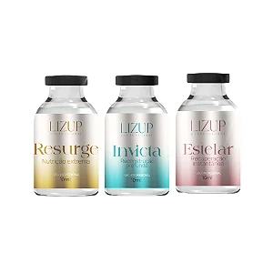 Kit Cronograma Capilar Liquido 3 Passos - LizUp