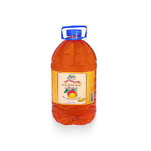 Shampoo Pêssego 5L - Stylus Cosméticos
