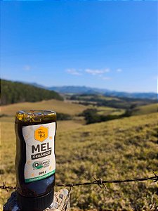 Mel Silvestre Orgânico 290ml