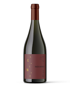 Corte Syrah duo Terroir 2025